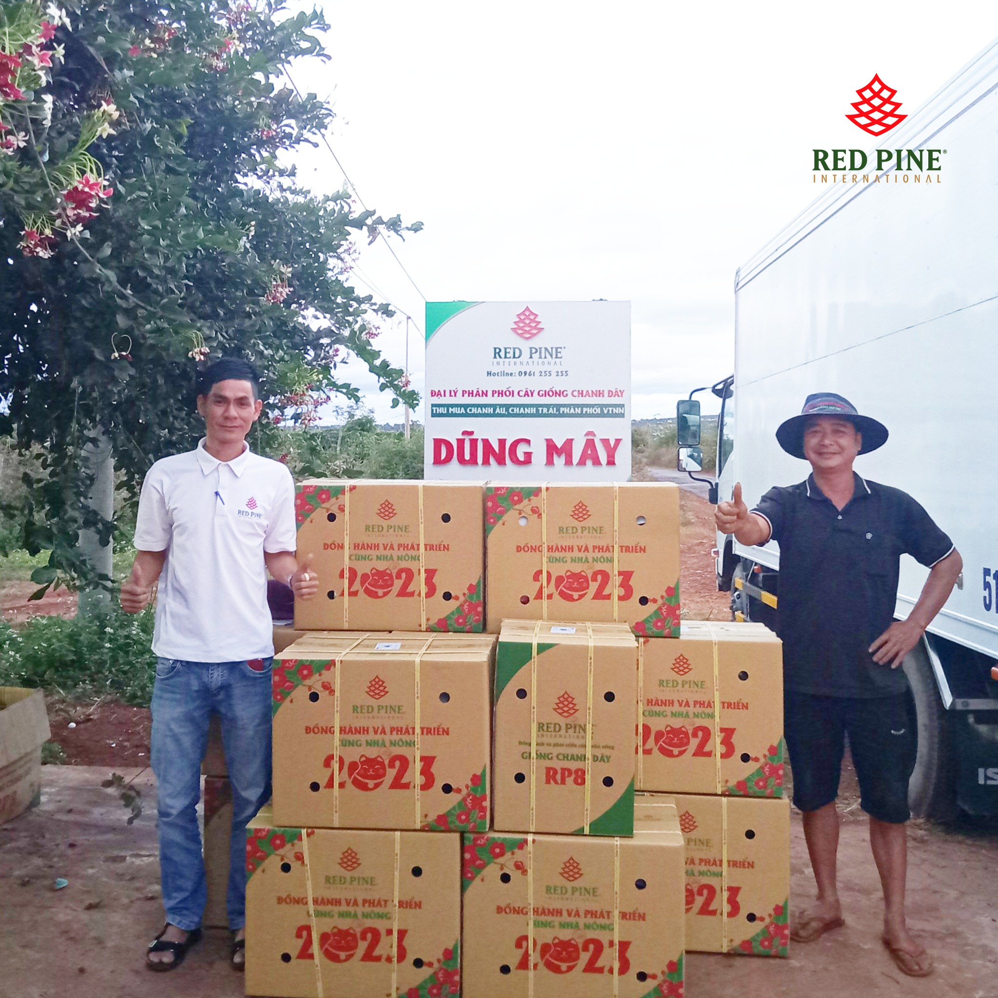 Nơi bán giống chanh dây tốt