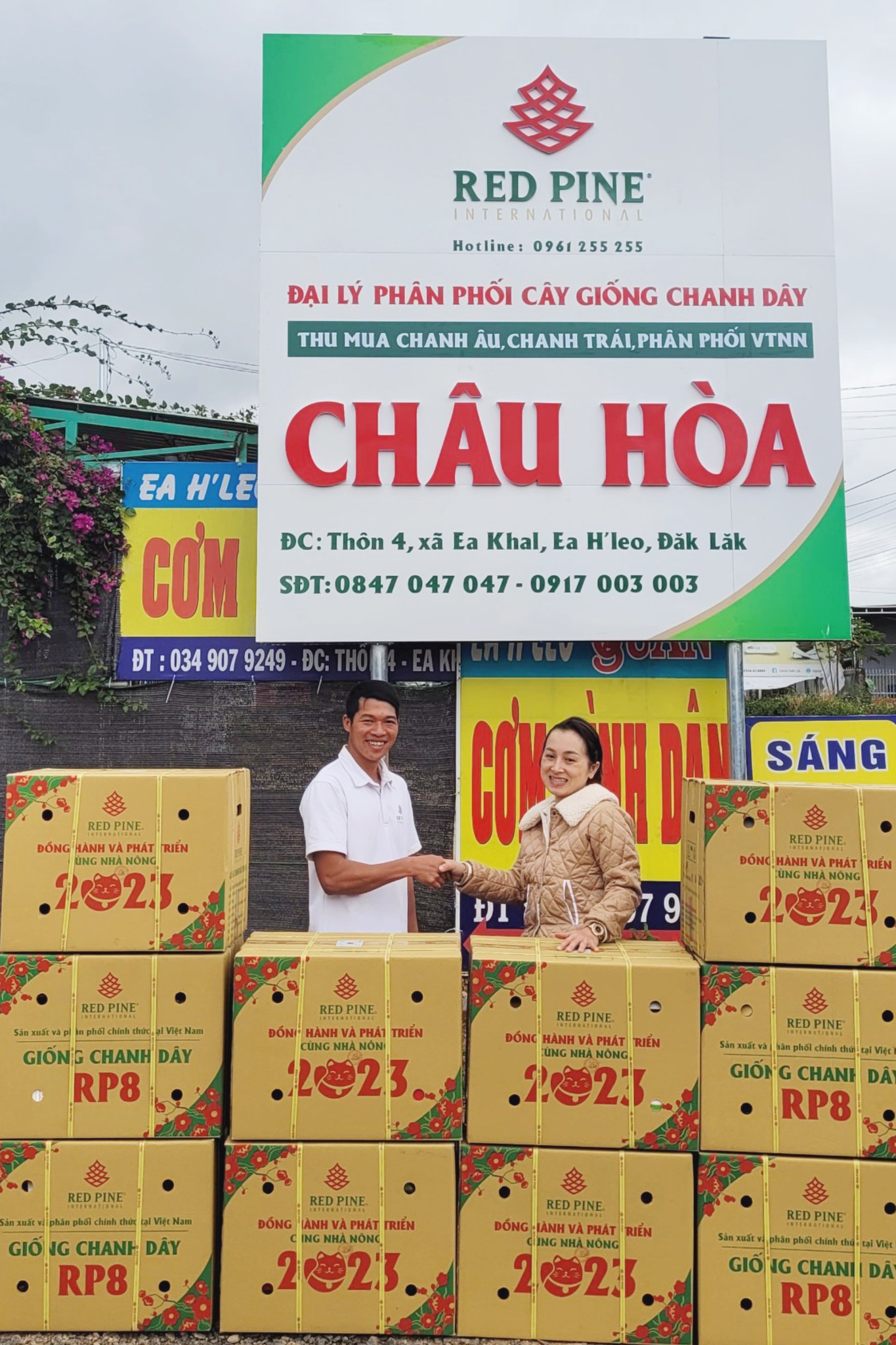 Giống chanh dây tốt